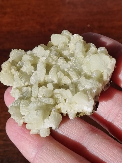 Prehnite