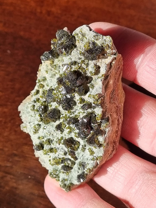 Epidote fans on Actinolite