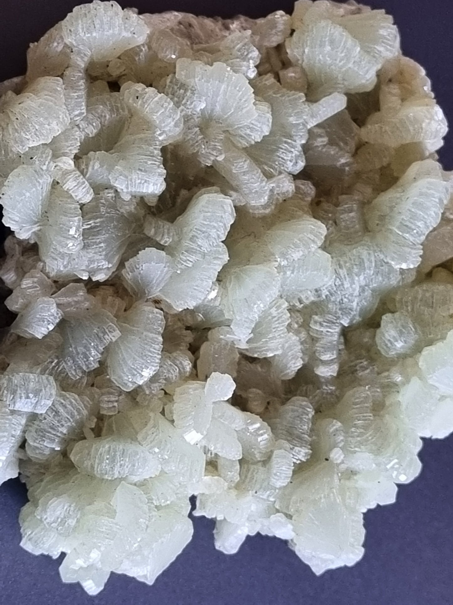 Prehnite