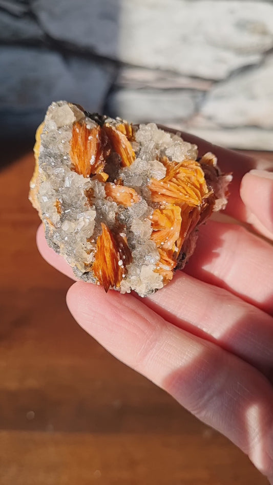 Cerussite and Baryte on a sandstone and Galena matrix